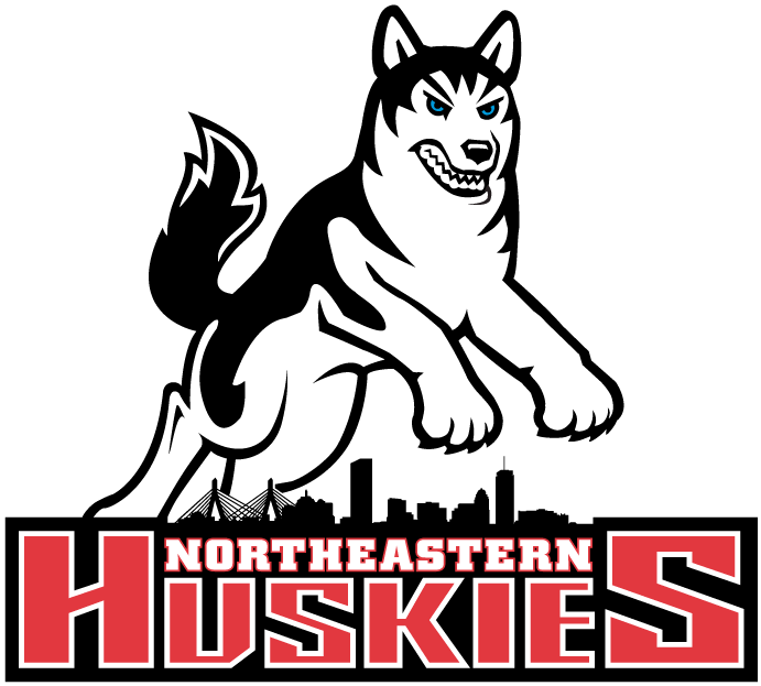 Northeastern Huskies 2001-2006 Primary Logo iron on transfers for clothing